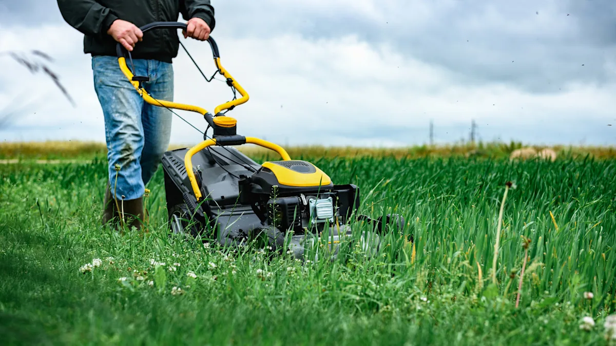 Lawn Mowing